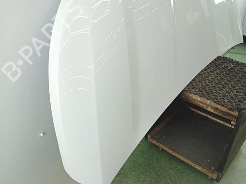 hood-renault-trafic-iii-van-fg_-2014-36468773 main image