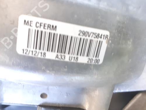 Engine RENAULT ZOE (BFM_)  | BP29925410M1