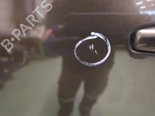 Left front door CITROËN C4 Grand Picasso I (UA_) 1.6 HDi 110 | BP29124463C2 
