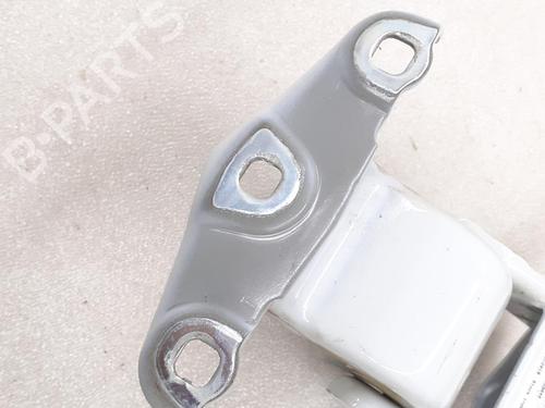Hinge/Door check strap RENAULT TRAFIC III Van (FG_) 1.6 dCi 125 (FGMH) | BP24795878C146