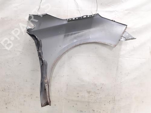 Left front fenders CITROËN C4 II (NC_) 1.6 BlueHDi 120 | BP32385877C41