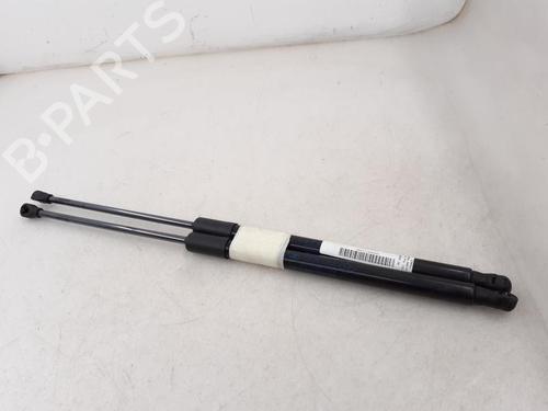 Used Tailgate lift support RENAULT CLIO V (B7_) 1.3 TCe 140 (B7N0) (140 hp) 24782002