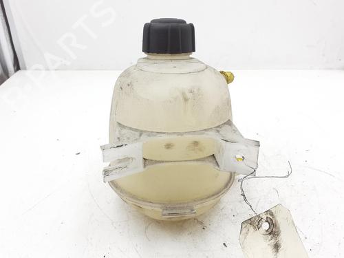 Ekpansionstank RENAULT SCÉNIC I MPV (JA0/1_, FA0_) 1.9 dCi (JA05, JA1F) | BP24788981C120 
