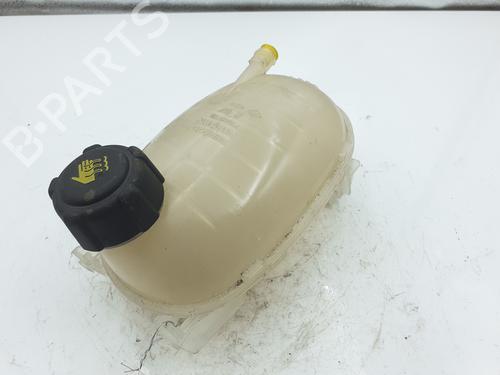 Used Expansion tank RENAULT CLIO V (B7_) 1.0 TCe 90 (B7MT) (91 hp) 30460446