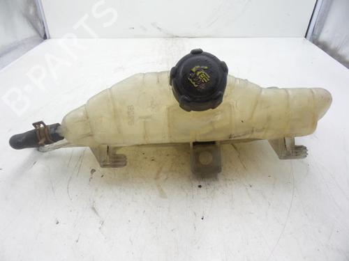 Used Expansion tank RENAULT CLIO III (BR0/1, CR0/1) 1.5 dCi (BR17, CR17) (86 hp) 24781407