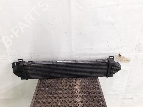 Intercooler FORD S-MAX (WA6) 1.8 TDCi (125 hp) 24781020