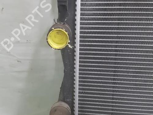 Køler NISSAN QASHQAI / QASHQAI +2 I (J10, NJ10, JJ10E) 1.5 dCi | BP24778475M31 