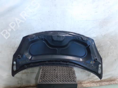 Hood RENAULT WIND (E4M_) 1.6 (E4MB, E4MC) | BP28601854C1