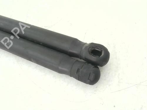 Tailgate lift support PEUGEOT 1007 (KM_) 1.4 HDi | BP24779265C138