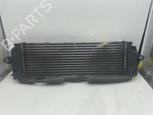 Intercooler RENAULT TRAFIC II Van (FL) 2.0 dCi 90 (FL0H, FL00, FL01, FL0M, FL0P, FL0S) (90 hp) 24786940