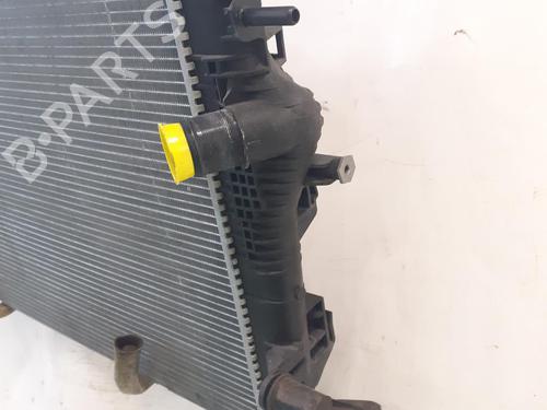 Water radiator RENAULT SCÉNIC III (JZ0/1_) 1.9 dCi (JZ0J, JZ1J, JZ1K, JZ1S) | BP24790758M31 