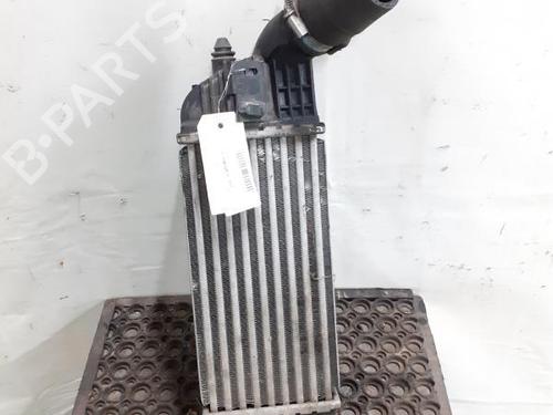 Intercooler CITROËN C5 III Break (RW_) 2.0 HDi 165 (163 hp) 24782758