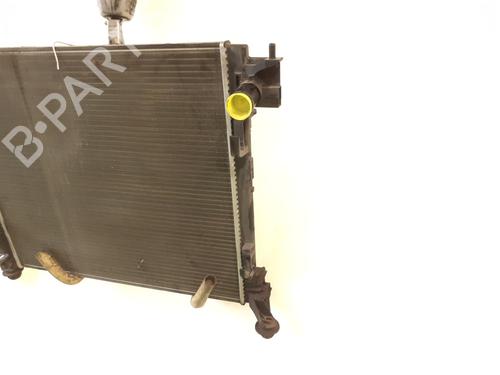 Water radiator RENAULT KADJAR (HA_, HL_) 1.2 TCe 130 (HLMR) | BP30085555M31 