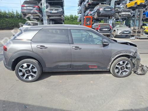 - Image 7
