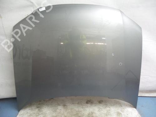Hood VW PASSAT B5.5 (3B3) 2.5 TDI 4motion 3B0823031K
