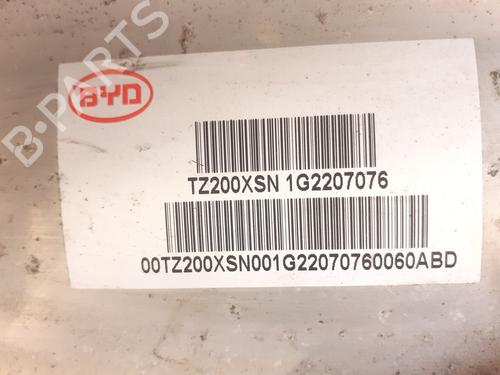 Engine BYD TANG EV All-wheel Drive | BP31836787M1