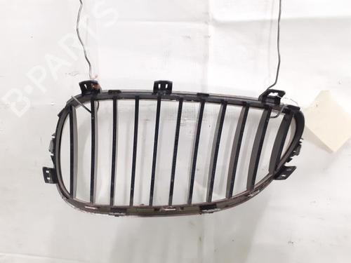 Used Grille BMW 5 Touring (E61) 530 xd (231 hp) 24783464
