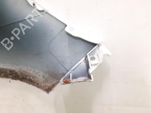 Guarda-lamas esquerdo Guarda-lamas esquerdo RENAULT CLIO III (BR0/1, CR0/1) 1.2 16V (BR02, BR0J, BR11, CR02, CR0J, CR11) (75 hp) 34707457 34707457