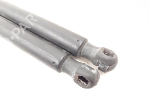 Tailgate lift support FORD KUGA I 2.0 TDCi | BP24786138C138