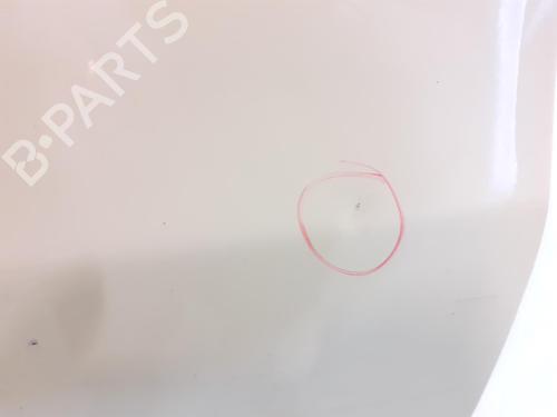Right front door FIAT PANDA (169_) 1.1 (169.AXA1A) | BP24796412C3 