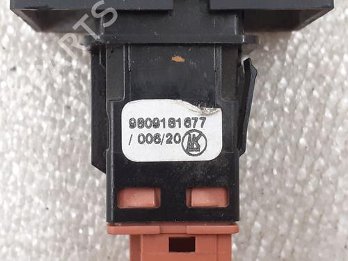 Warning switch PEUGEOT EXPERT Van (V_) 1.5 BlueHDi 120 | BP24796543I22