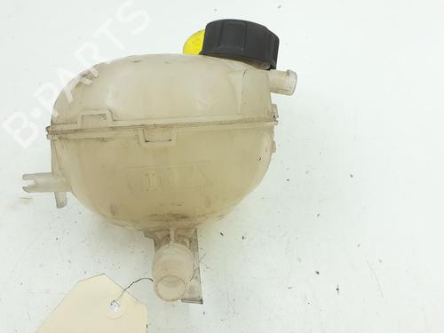 Used Expansion tank PEUGEOT 2008 II (UD_, US_, UY_, UJ_, UR_, UC_) 1.5 BlueHDI 130 (131 hp) 24793596