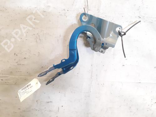 hingedoor-check-strap-renault-zoe-bfm_-2012-30591002 main image