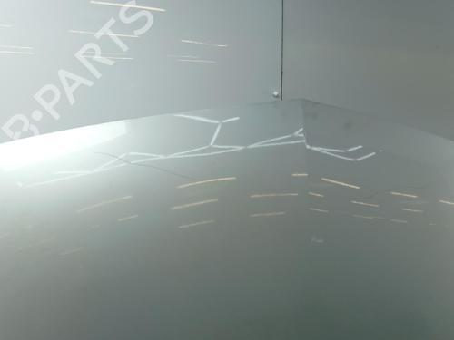 Used Hood Hood MERCEDES-BENZ CLS Shooting Brake (X218) CLS 250 BlueTEC / d 4-matic (218.997) (204 hp) 36654078 36654078