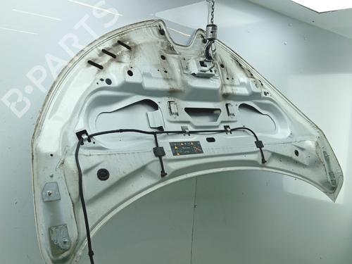 Used Hood Hood RENAULT ZOE (BFM_) ZOE (88 hp) 39980690 39980690