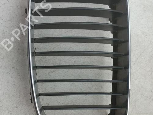 Used Grille BMW 1 (E87) 118 d (122 hp) 24775817