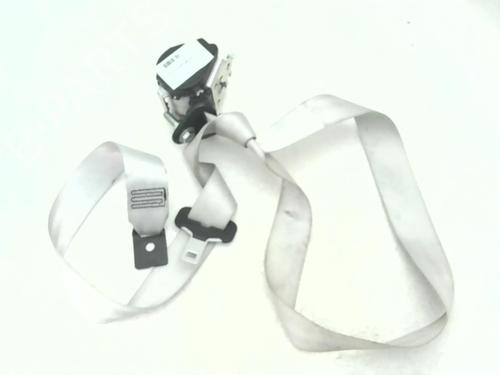 Rear left belt tensioner RENAULT SCÉNIC III (JZ0/1_) 1.6 dCi (JZ00, JZ12) | BP24778780C89 