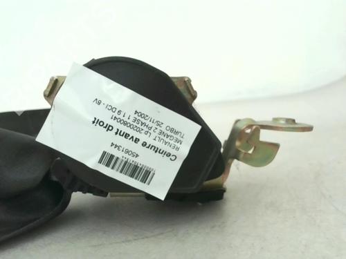 Front right belt tensioner RENAULT MEGANE II (BM0/1_, CM0/1_) 1.9 dCi (BM0G, CM0G) | BP24779100C88 