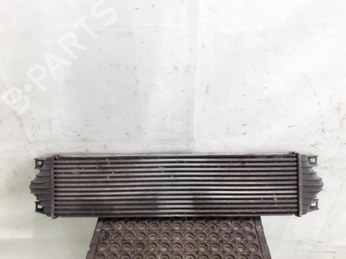 Intercooler RENAULT MASTER II Van (FD) 2.5 dCi 100 (FD0U, FD0V, FD3U, FD3V, FD8U, FD8V) | BP24783234M30 