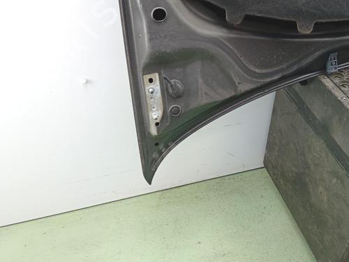 Used Hood Hood 38339034 38339034