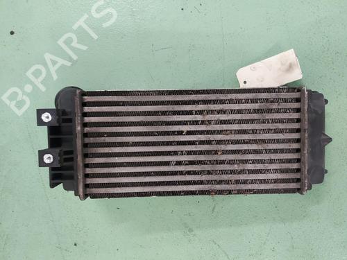 Used Intercooler Intercooler CITROËN C4 II (NC_) 1.6 BlueHDi 100 (99 hp) 24785828 24785828