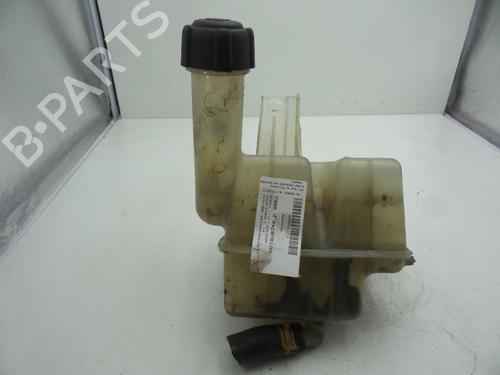 Used Expansion tank RENAULT LAGUNA II (BG0/1_) 1.6 16V (BG1G, BG1H) (112 hp) 24782873