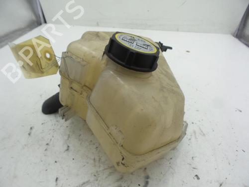 Serbatoio di espansione FORD FIESTA VI (CB1, CCN) 1.4 TDCi (70 hp) 24785330