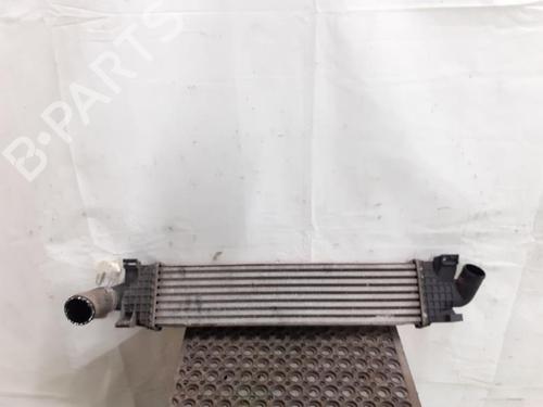 Intercooler FORD FOCUS C-MAX (DM2) 1.8 TDCi | BP24782706M30 
