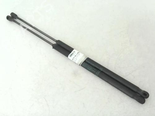 Tailgate lift support PEUGEOT 1007 (KM_) 1.4 HDi | BP24779265C138