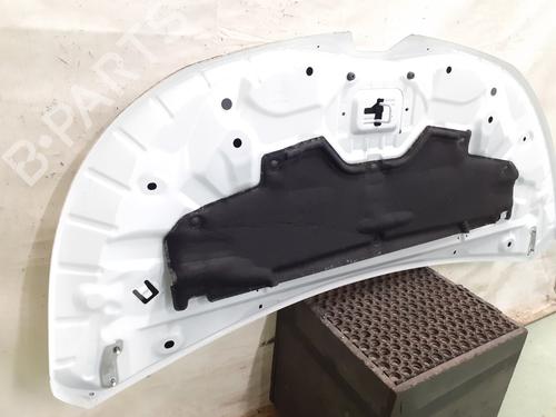 Hood RENAULT TRAFIC III Platform/Chassis (EG_) 2.0 dCi 145 (EGML) | BP31356111C1 