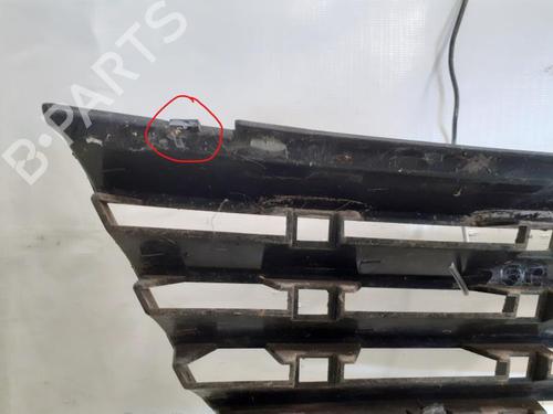 Gitter für VW PASSAT B5 Variant (3B5) 2.5 TDI (150 hp) 24784421
