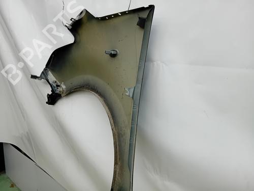 right-front-fenders-citroen-c3-ii-sc_-2009-34359351 main image