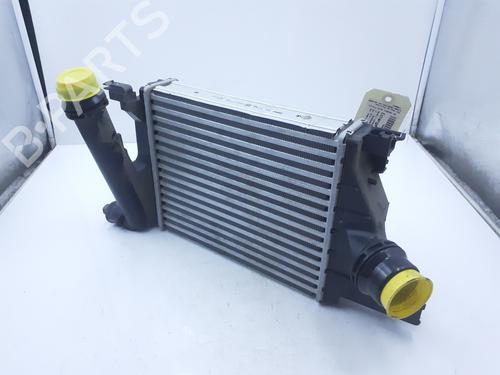 Intercooler RENAULT EXPRESS Box Body/MPV | BP36786920M30 - Image 4