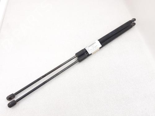 Used Tailgate lift support VW CADDY III MPV (2KB, 2KJ, 2CB, 2CJ) 2.0 TDI 4motion (110 hp) 24786835