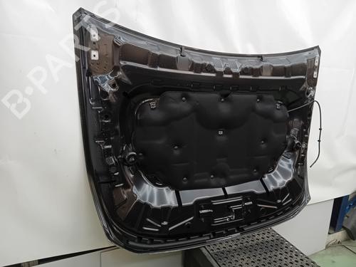 hood-dacia-duster-hm_-2017-37742187 main image