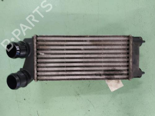Intercooler CITROËN C4 II (NC_) 1.6 BlueHDi 100 (99 hp) 24785828
