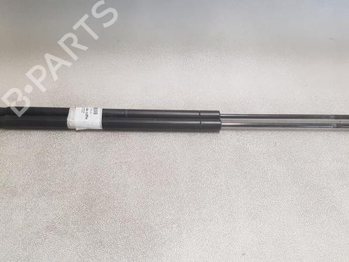 Used Tailgate lift support FIAT QUBO (225_) 1.3 D Multijet (225CXB1A, 225AXB1A, 225CXB11, 225AXB11,... (75 hp) 24777748
