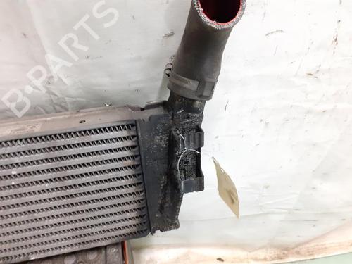 Intercooler RENAULT MEGANE II (BM0/1_, CM0/1_) 1.5 dCi (BM1E, CM1E) | BP24783004M30 