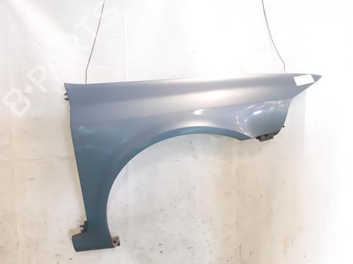 Right front fenders RENAULT LAGUNA II (BG0/1_) 1.9 dCi (BG08, BG0G) | BP24787258C42 