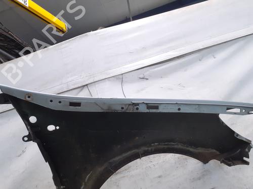 Left front fenders RENAULT CLIO III (BR0/1, CR0/1) 1.5 dCi (C/BR0G, C/BR1G) | BP28497291C41 